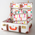 Kate Spade New York Travel Luggage