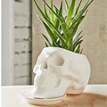 Gift Ideas For The Home Under $40